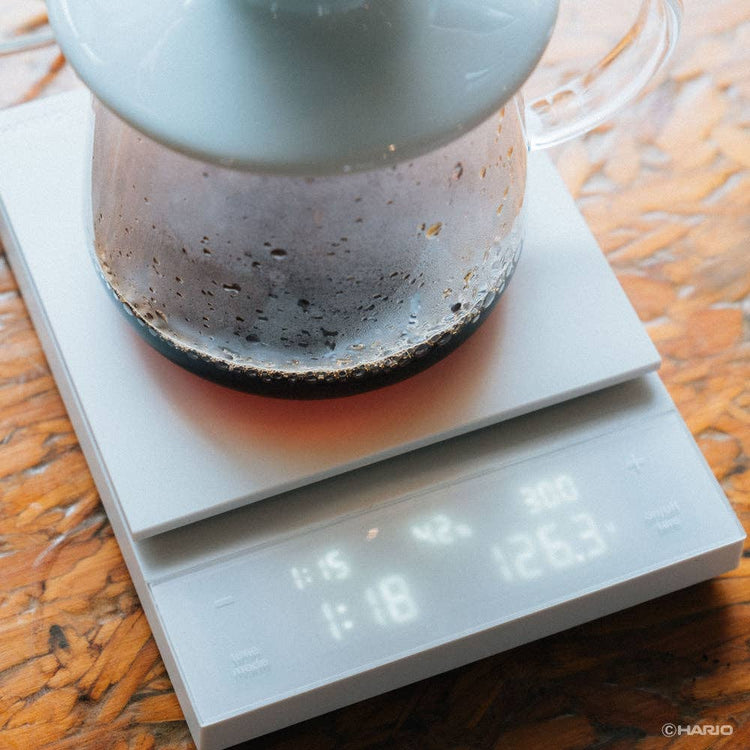 HARIO USA - "Polaris" Coffee Scale