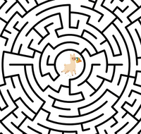 Kusi Maze