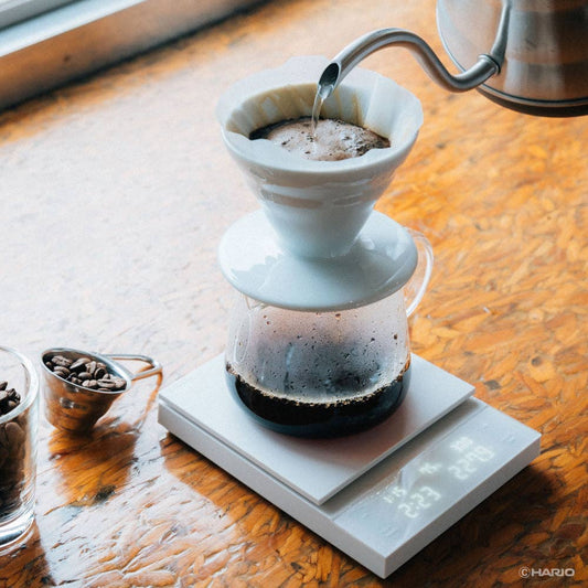 HARIO USA - "Polaris" Coffee Scale